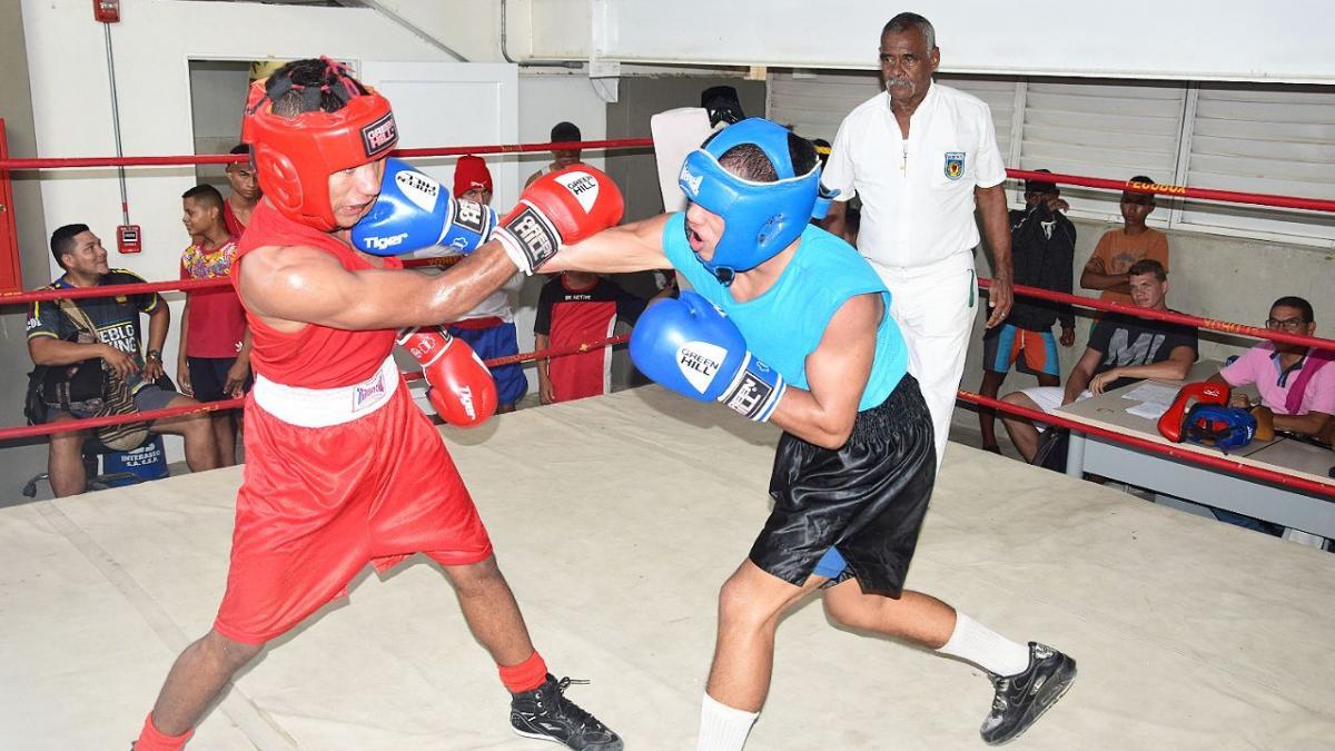 A “golpes agigantados” avanza boxeo de Santa Marta A “golpes agigantados” avanza boxeo de Santa Marta