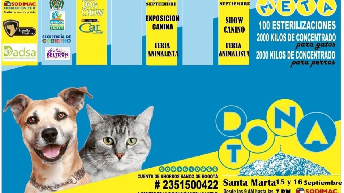 Todo listo para la Gran Donatón en beneficio de los perros y gatos en situación de calle Todo listo para la Gran Donatón en beneficio de los perros y gatos en situación de calle