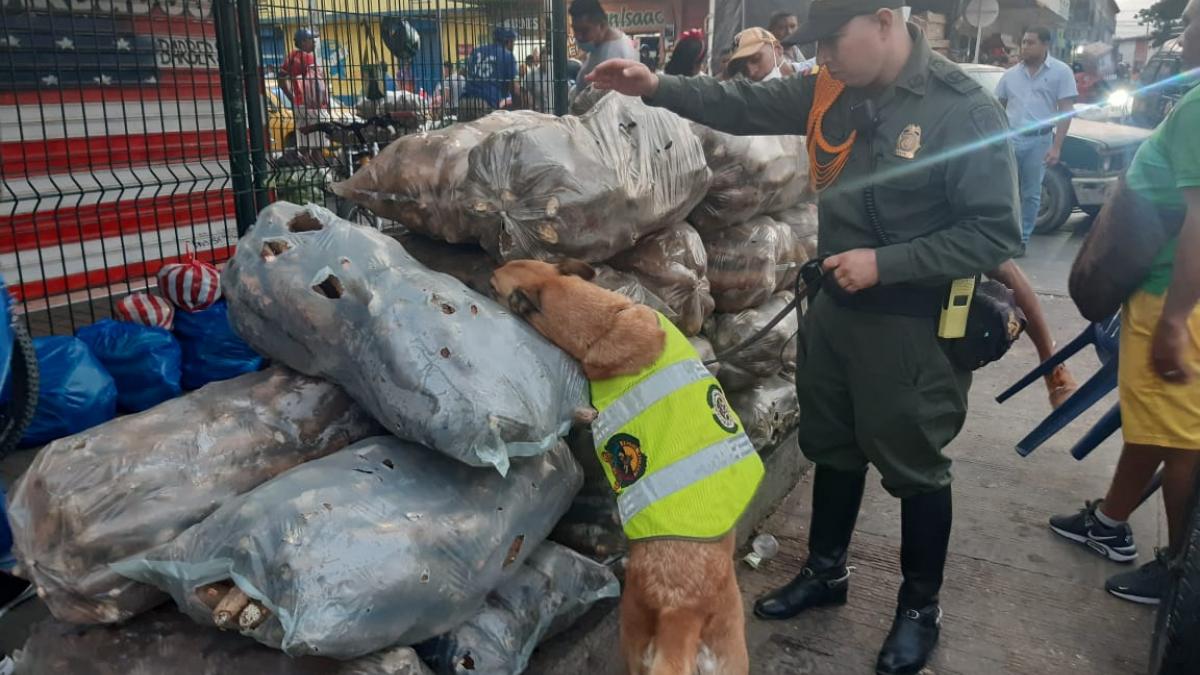 Operativos de control por cuarentena entregan positivos resultados en Santa Marta