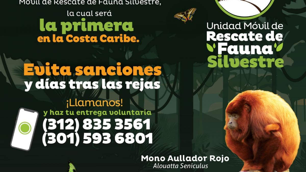 Santa Marta se prepara para ser líder en el Caribe en protección de fauna silvestre con Unidad de Rescate del Dadsa